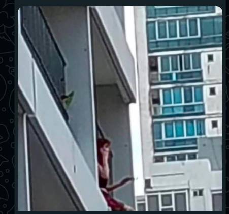 Estrés y depresión agobian a panameños.