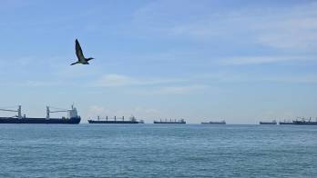 La importante vía acuática fue abierta de manera oficial el 15 de agosto de 1914, con el tránsito del vapor SS Ancon.