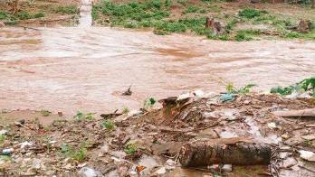 Una cabeza de agua los sorprendió.