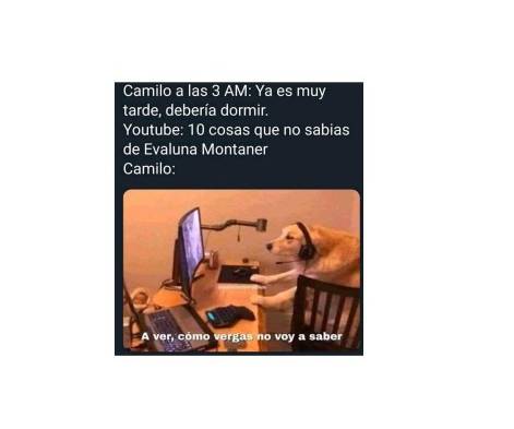 La hija de Ricardo Montaner y su yerno, Camilo, víctimas de memes por empalagosos