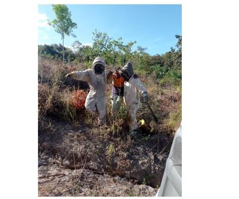 Bomberos rescatan a señor en medio de un ataque de abejas
