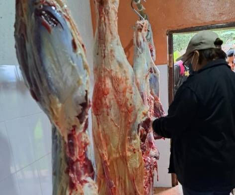 Decomisan carne clandestina en Coclé