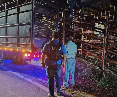 Cuatreros se llevaron 36 reses de Antón hasta Colón... pero allá los pillaron