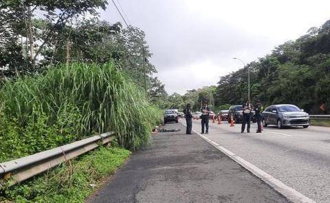 Hombre muere atropellado en la vía Centenario