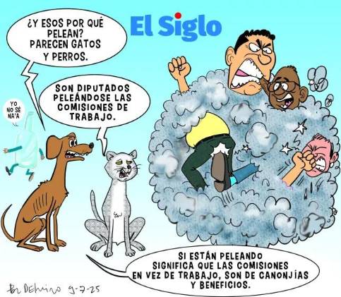 [VIDEO] Pelea de perros y gatos en la Asamblea (Caricaturas)