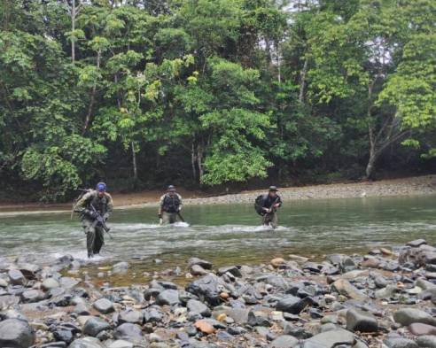 Minería ilegal: Policía detecta 10 hectáreas con daños ecológicos