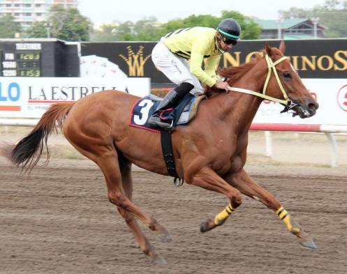 ‘Dicky’s Angel’ llegando a la meta con la monta del jinete Luis Arango para llevarse el evento.