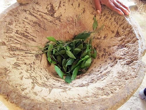 Unesco declara patrimonio inmaterial la confección del sombrero pintao panameño