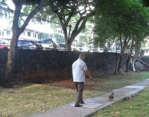 Escándalo en el MIDES, viceministra usó a escoltas para pasear al perro