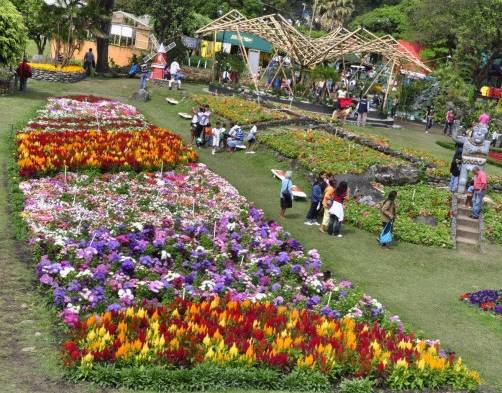 Proyecciones en el turismo son muy positivas para Chiriquí.