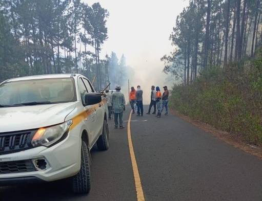 Fuego de masa vegetal consume varias hectáreas de la Reserva Forestal La Yeguada