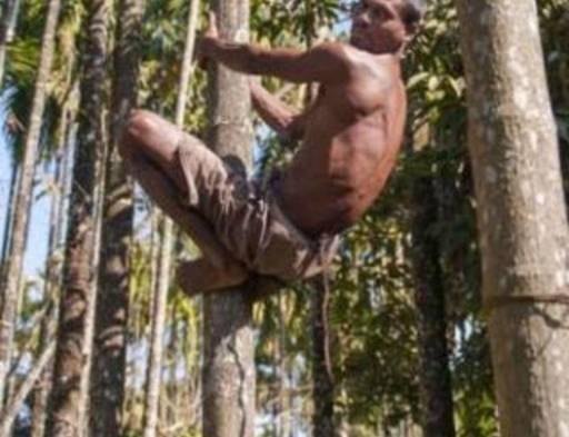 Hombre con cola es venerado como dios