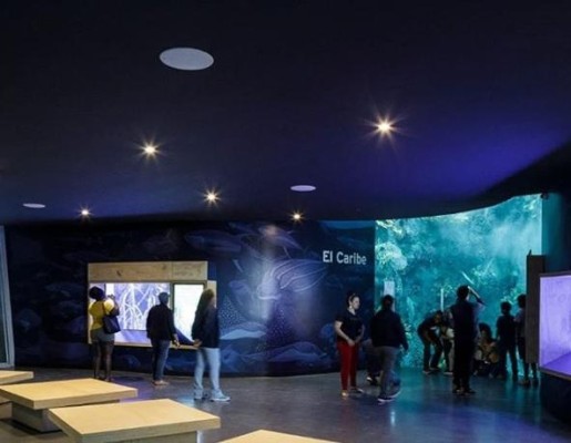 Biomuseo de Frank Gehry inaugura galerías sobre ecosistema marino de Panamá