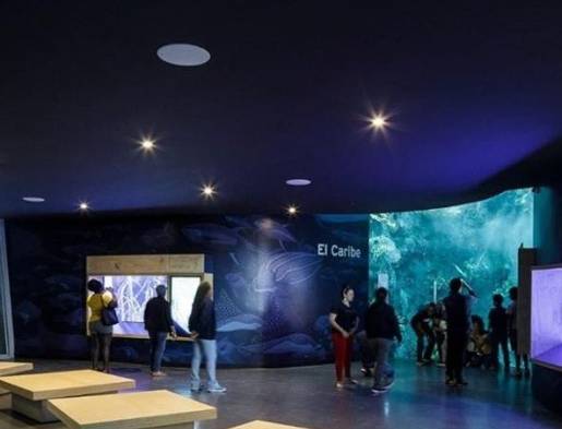 Biomuseo de Frank Gehry inaugura galerías sobre ecosistema marino de Panamá