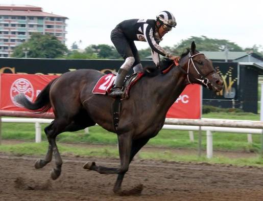 El caballo canadiense Coltimus Prime y el jinete Ángel Rodríguez.