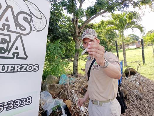 Unidos contra el dengue: realizan diversos operativos en el país