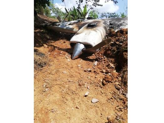 Encuentran avioneta accidentada en la&nbsp;frontera de Panamá con Costa Rica