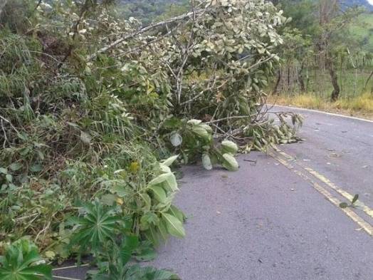 En la provincia de Chiriquí se reportó caída de árboles y deslizamiento de tierra.