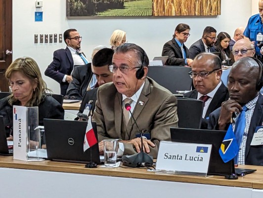 Valderrama destaca Ley de PADE durante Comité Ejecutivo  del IICA en Costa Rica  