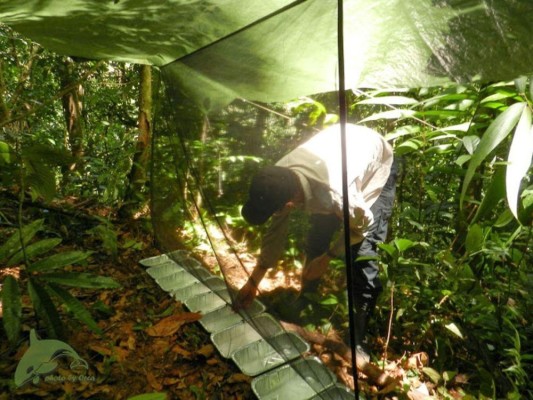 Investigadores en medio de su labor.