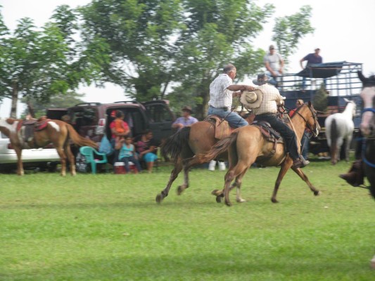 Carreras a caballos, las más gustadas.