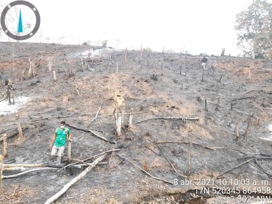 El incendio fue extinguido, pero afectó a más de 4 hectáreas de vegetación en crecimiento.