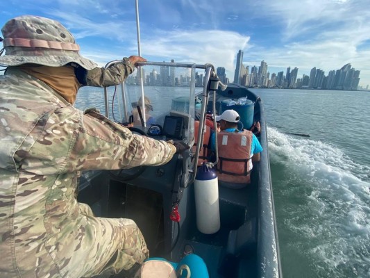 Reporte de delfín muerto  desata operativo de búsqueda en la Bahía de Panamá