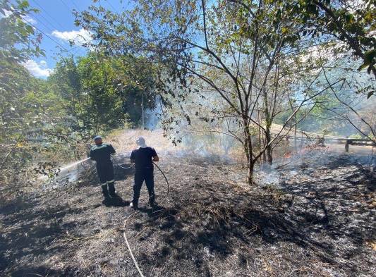 Aumentan incendios de herbazales. Bomberos piden colaboración para evitarlos 