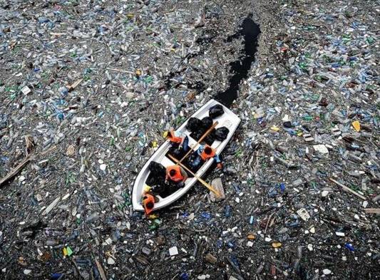 En Holanda se han dado casos de aves marinas y peces que han muerto debido a la ingesta de este tipo de residuos, o como en California ballenas y delfines sufren una dolorosa muerte causada por este mismo motivo.