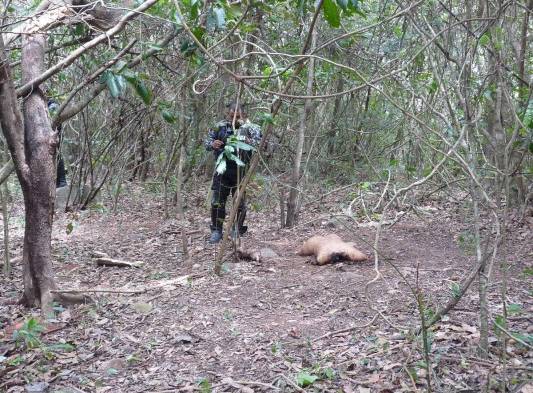 Manglares, ríos y quebradas se han convertido en los nuevos cementerios utilizados por las pandillas tras cometer crímenes