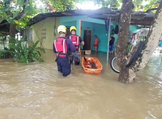 Se ahogan más de mil puercos por inundaciones en Los Santos
