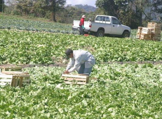 Los productores de todo el país mantienen viva la fe de que vendrán mejores días para el sector agropecuario.