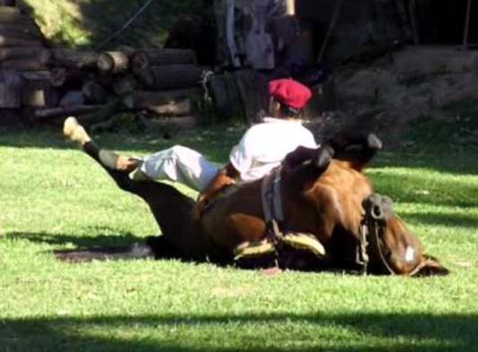Yoga para domar caballos
