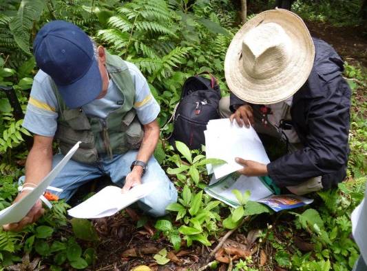 Guías trazan una ruta de búsqueda en el bosque.