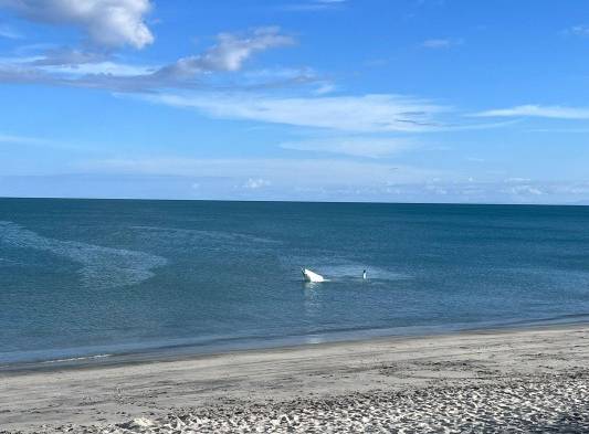 Avioneta cayó al mar en playa Farallón