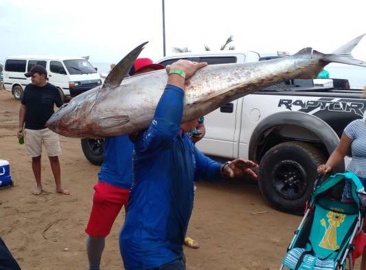 Pescadores de Pedasí ganan el Torneo de Pesca