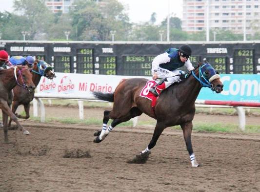 El mexicano ‘Tolomeo’ fue el vencedor de la edición del 2013.