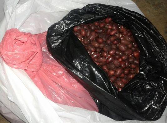 Disfrazaban la cocaína con cáscara de frijoles