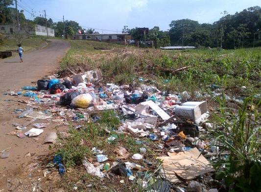 Perros se encargan de romper las bolsas