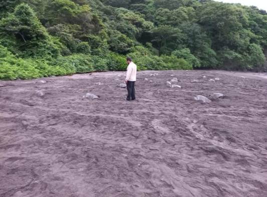 Playa La Marinera, la cuna panameña para millones de tortugas marinas