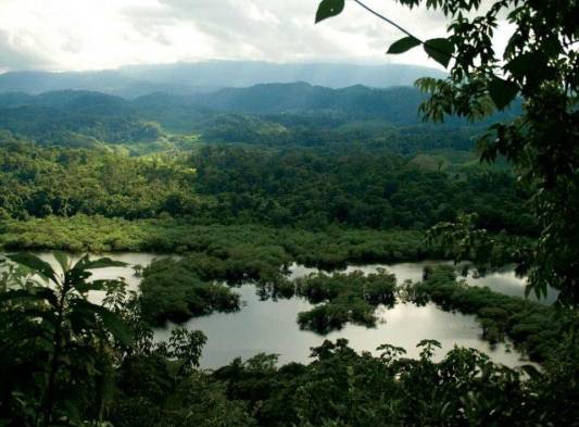 La selva Maya es el segundo macizo continuo de bosque tropical húmero y subhúmedo más grande después del Amazonas