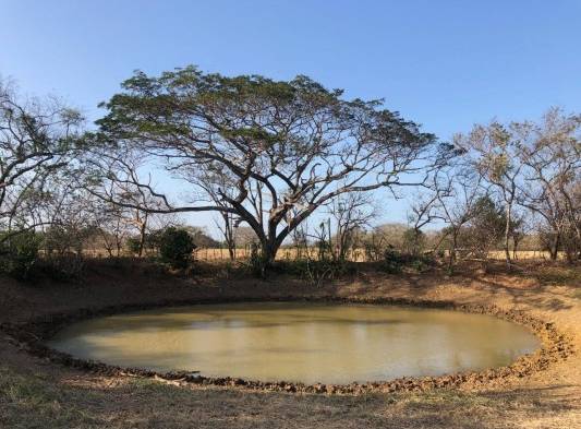 Panamá prepara a productores para época seca de 2022 con pozos y abrevaderos