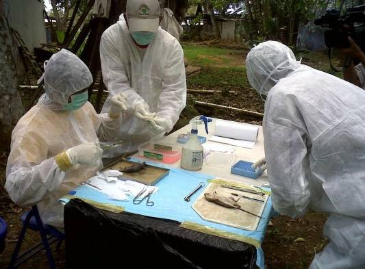 Las alertas sanitarias se mantienen.