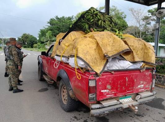 Yuca, plátanos y otoe llegan a Merca Panamá 