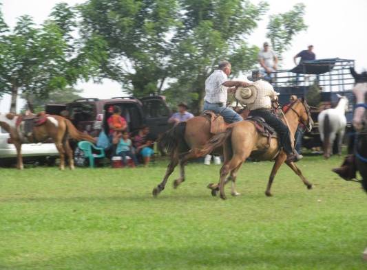 Carreras a caballos, las más gustadas.