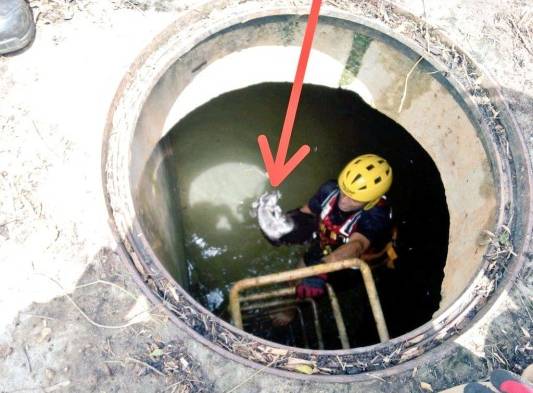Rescatan a perro que cae en una alcantarilla