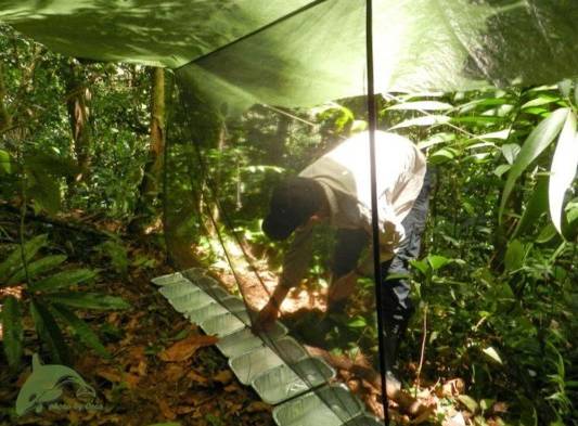 Investigadores en medio de su labor.