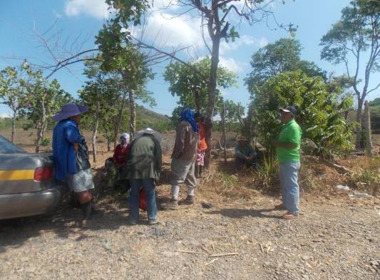 Después del mediodía no podrán estar en vertedero.