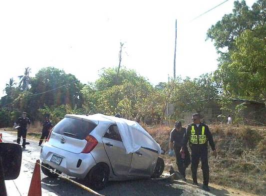 Aparentemente, el vehículo en que iban los extranjeros cayó en cuneta que separa los cuatro carriles