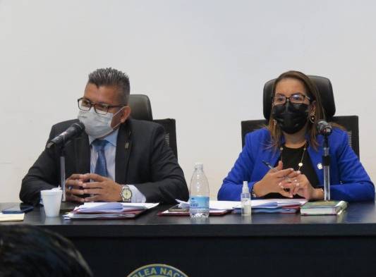 Proyecto de la reelección indefinida de Etelvina de Bonagas pasa a segundo debate